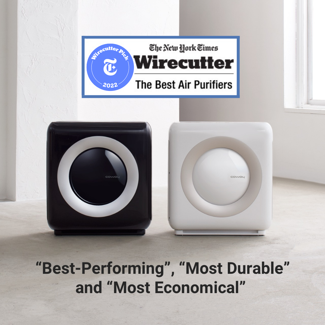 most durable air purifier