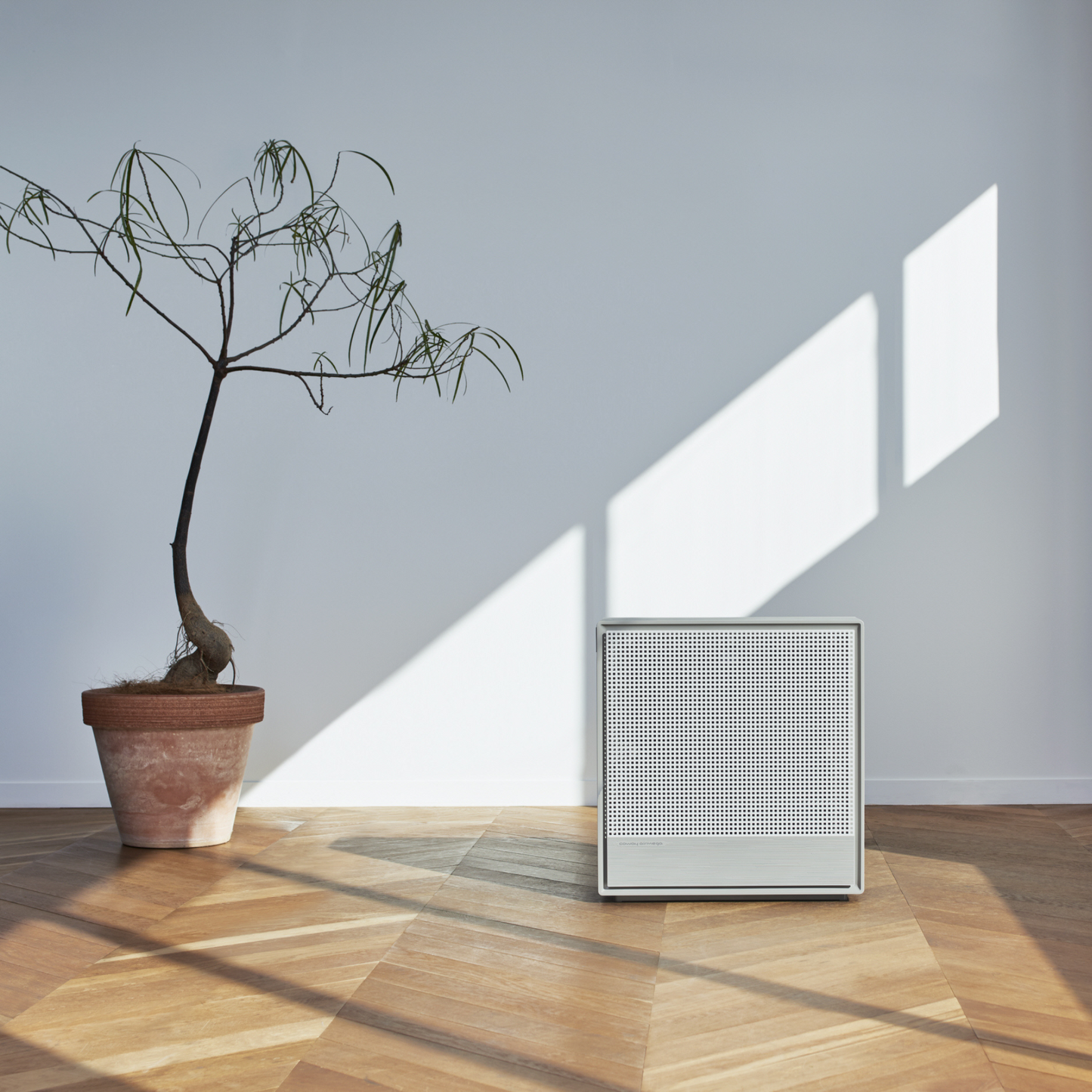 Airmega 250s 8
