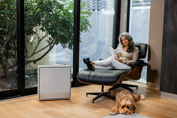 What's the Best Air Purifier for A Pet Owner?