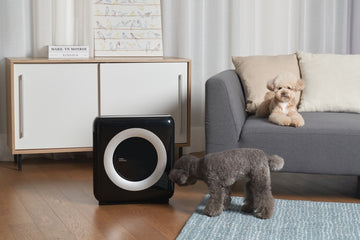 Fur Flying Everywhere? The Best Air Purifiers for Pet Owners