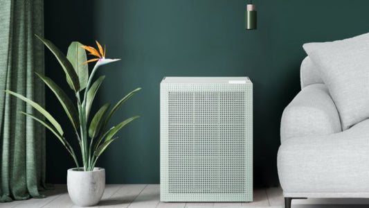 Matching Your Air Purifier to Your Interior Design