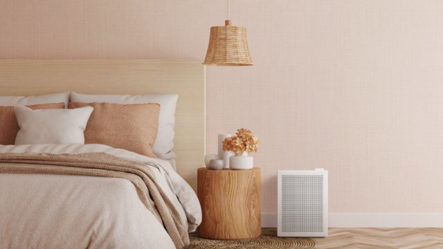 The Best Air Purifier for a Bedroom: Coway Mighty (AP-1512HH) and Airmega 150