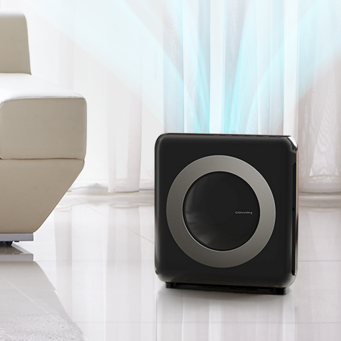 Coway air mighty deals