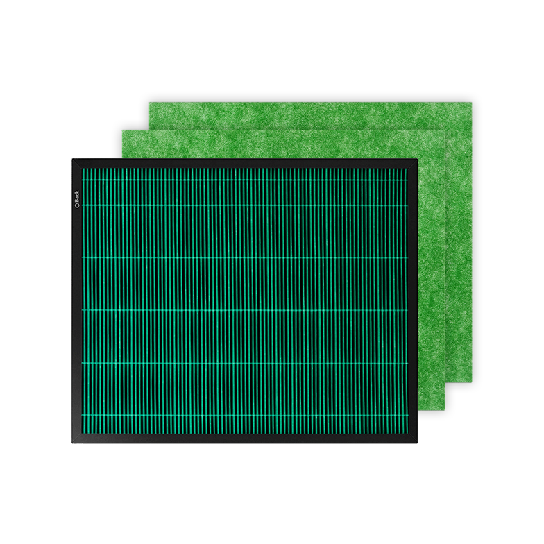ebe3dc79-ddd6-4acd-ac11-df586d0b5b59/mighty_allergen_filter_set_only_filter.png