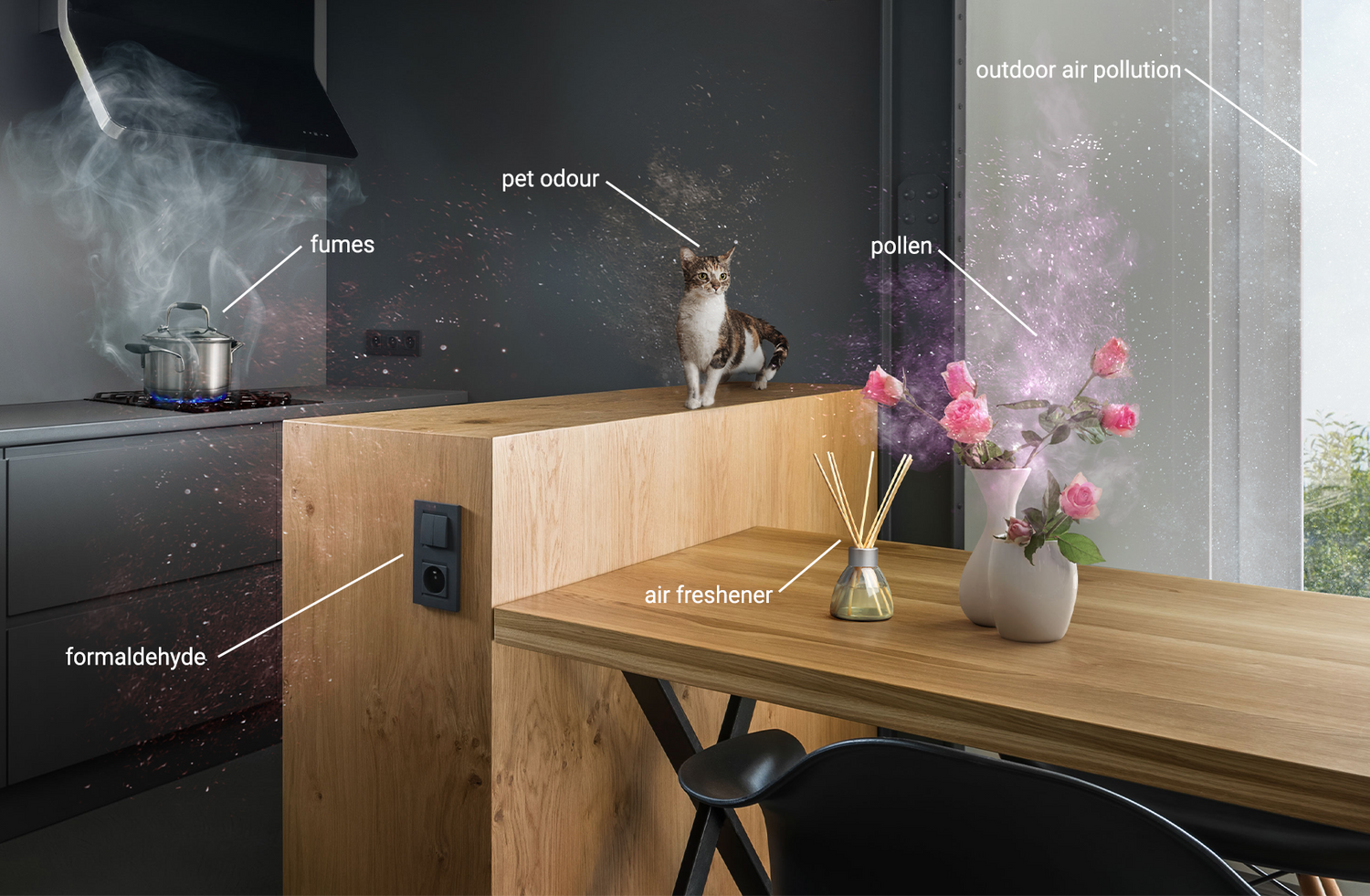 Coway air deals freshener